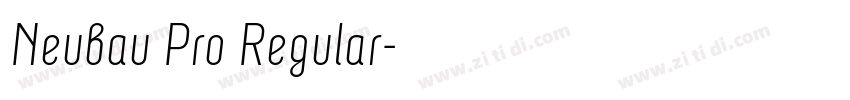 Neubau Pro Regular字体转换 Neubau Pro Regular字体转换